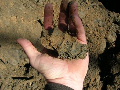 hand testing soil